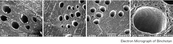 Electron Micrograph of Binchotan 