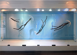 Windows Display